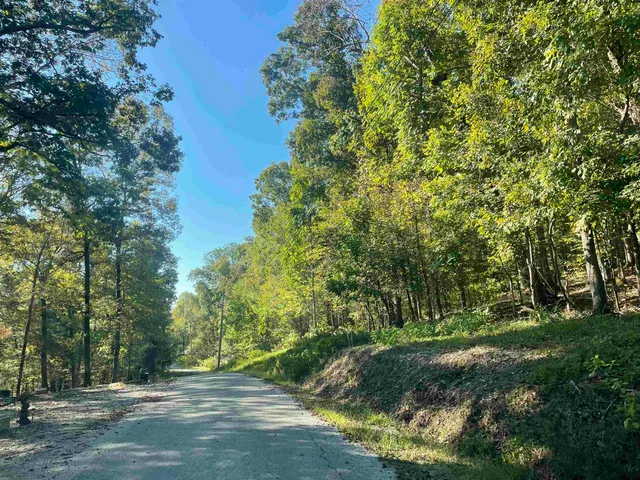 $29,900 | Lot 50 Crow Lane, Bath Springs, TN 38311