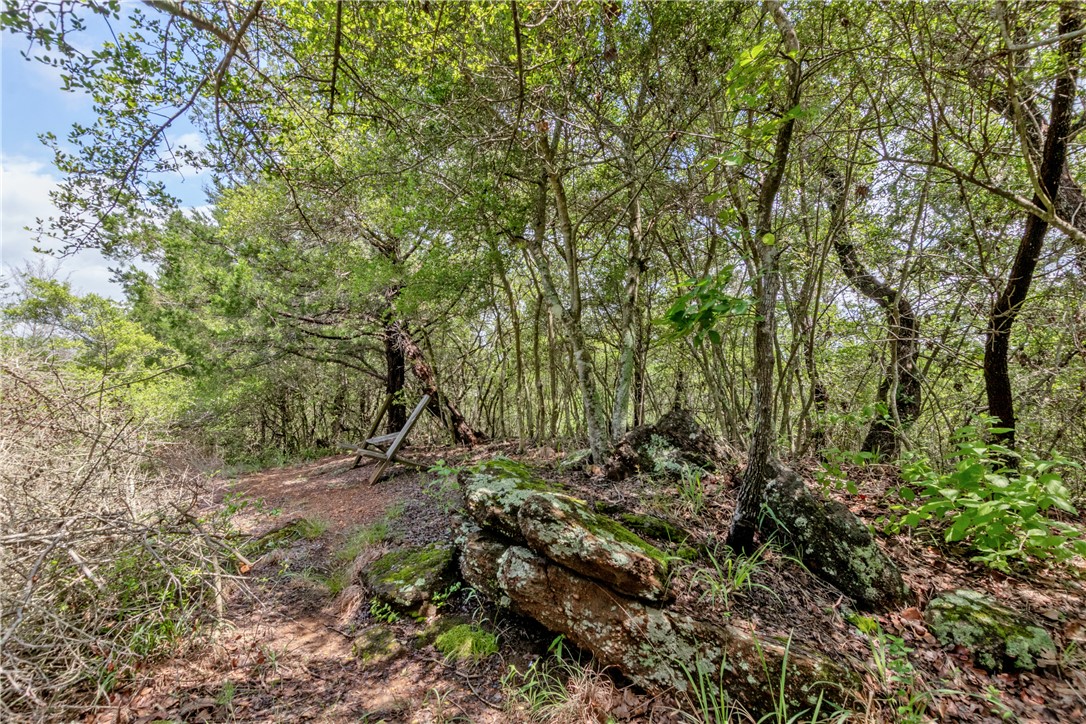 9997 Calhoun Road Bryan, TX 77808 - Photo 37 of 50 a view of a forest with a tree