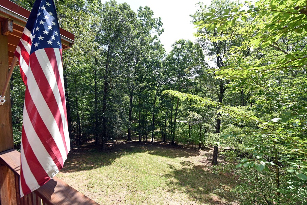 3373 Hardscrabble Road Mineral Bluff, GA 30559 - Photo 15 of 50 Gallery Image 15