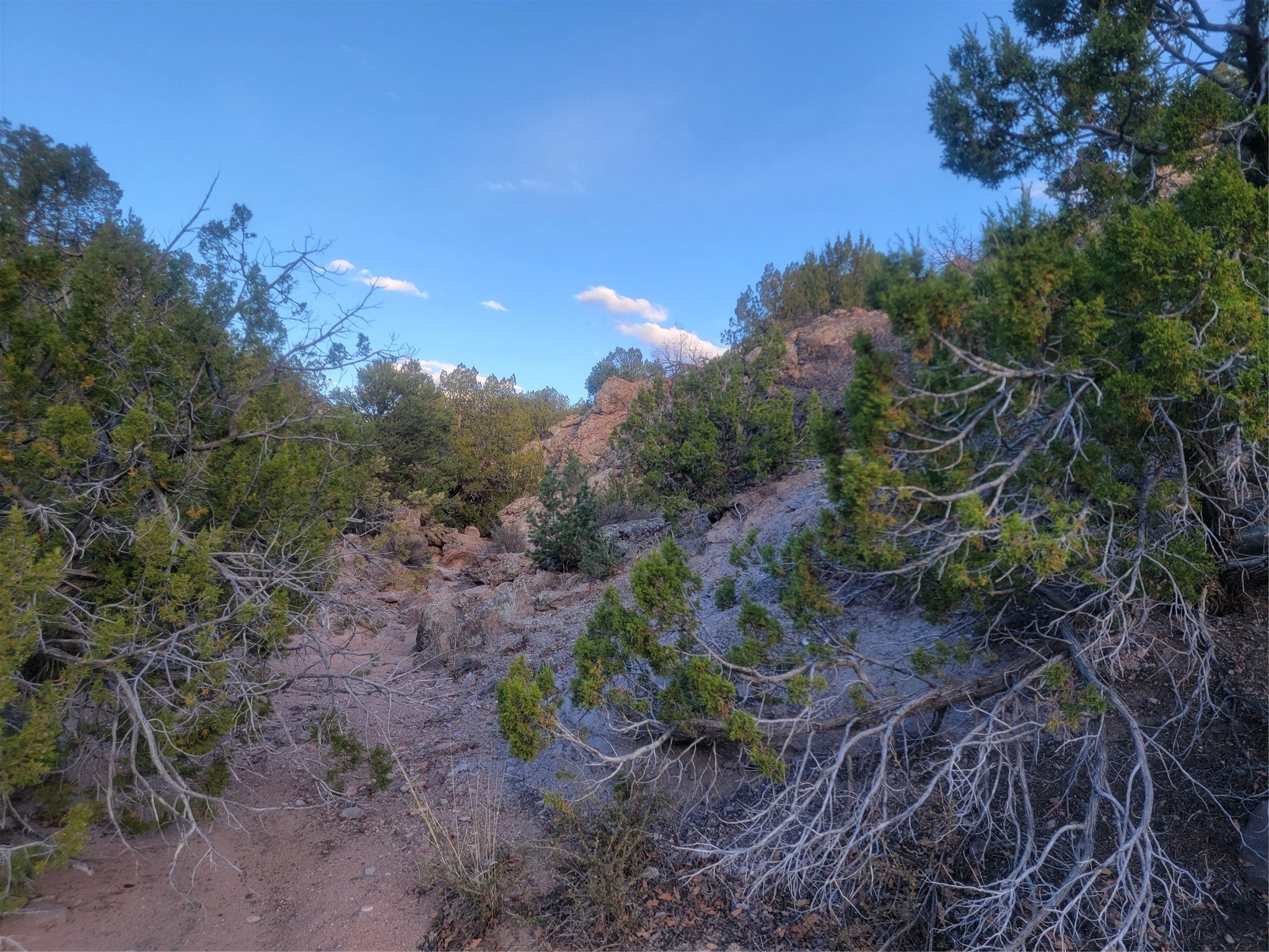 218 Horny Toad Road Cerrillos, NM 87010 - Photo 12 of 16