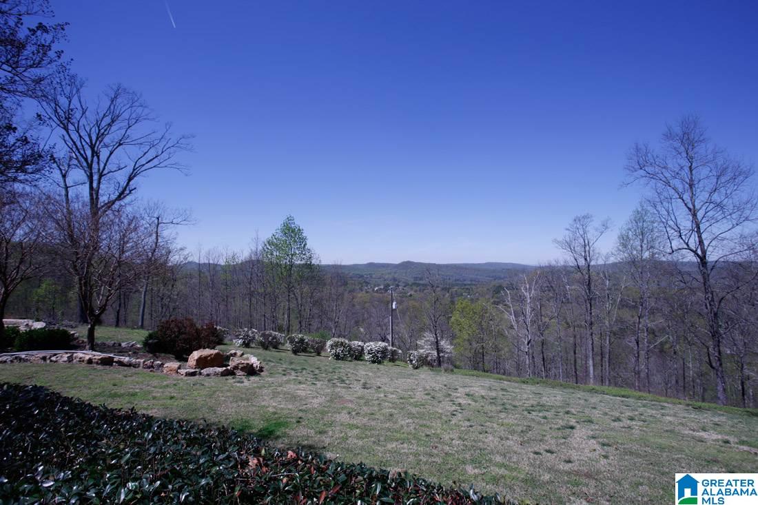 7625 Old Springville Road Trussville, AL 35173 - Photo 42 of 49