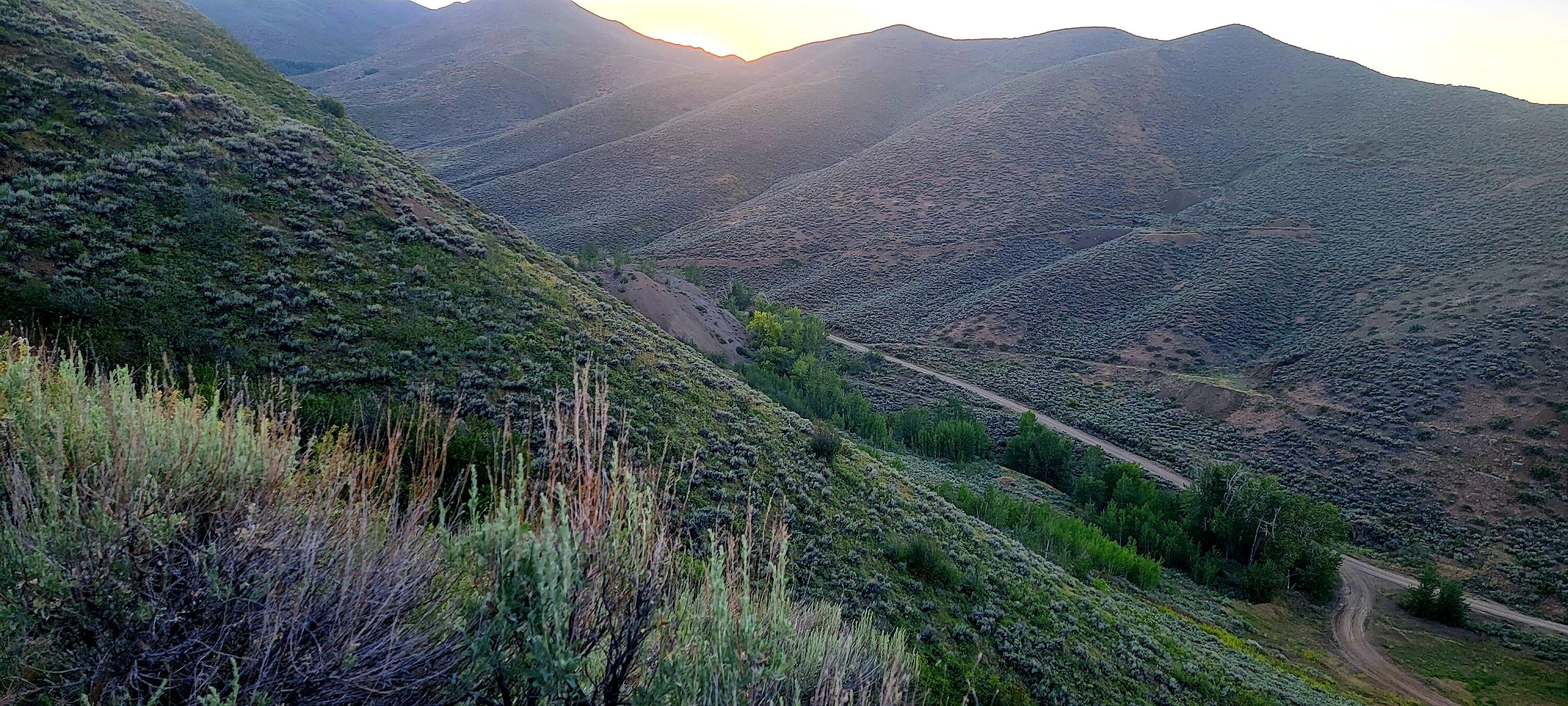 350 Broadford Road Blaine County, ID 83313 - Photo 2 of 40 20210621_204729 (1)