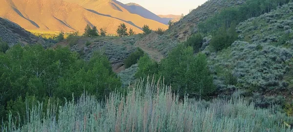$12,000,000 | 350 Broadford Road, Blaine County, ID 83313