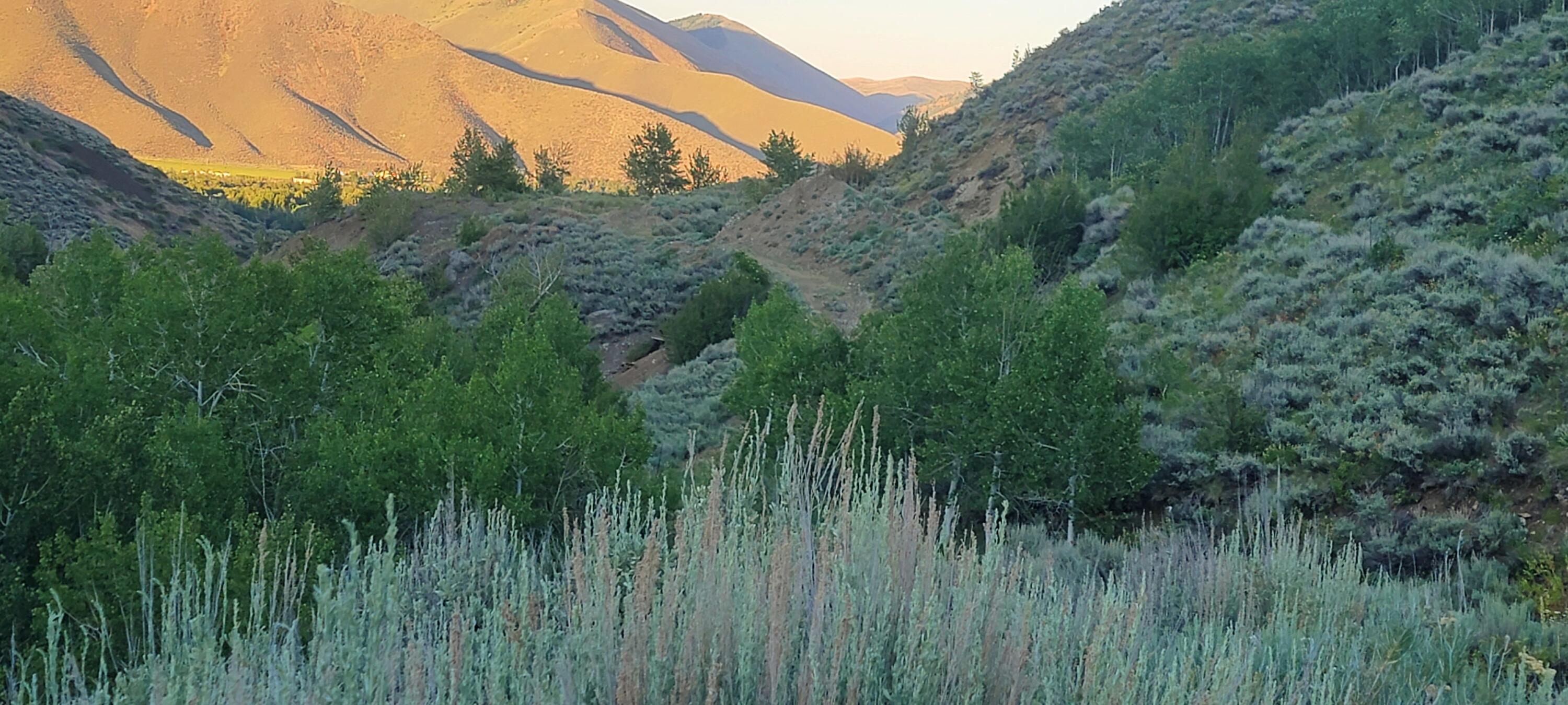 350 Broadford Road Blaine County, ID 83313 - Photo 12 of 40 20210621_203528