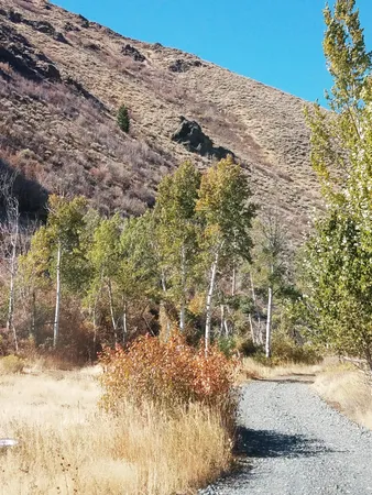 $12,000,000 | 350 Broadford Road, Blaine County, ID 83313