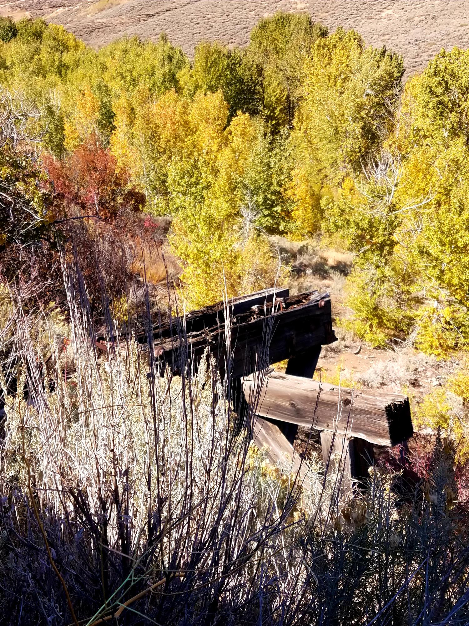 350 Broadford Road Blaine County, ID 83313 - Photo 20 of 40 20181008_145656