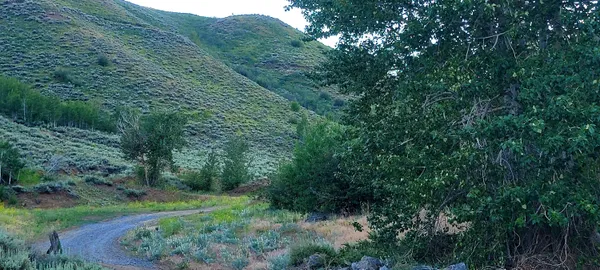 $12,000,000 | 350 Broadford Road, Blaine County, ID 83313