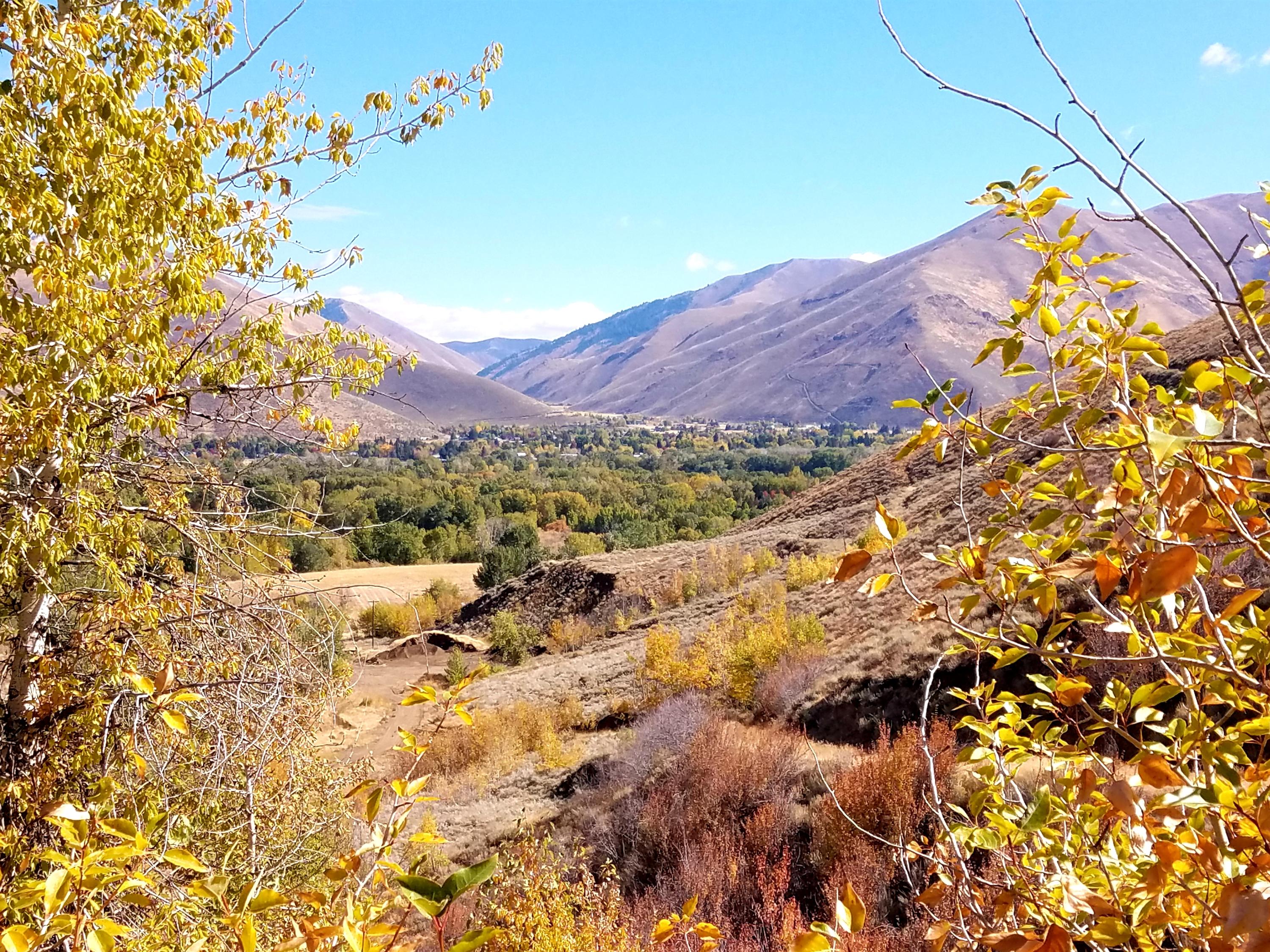 350 Broadford Road Blaine County, ID 83313 - Photo 22 of 40 20181008_145807