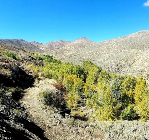 $12,000,000 | 350 Broadford Road, Blaine County, ID 83313