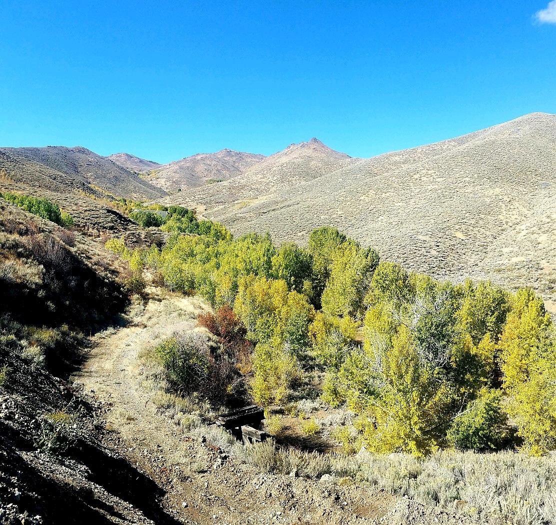 350 Broadford Road Blaine County, ID 83313 - Photo 24 of 40 20181008_150700