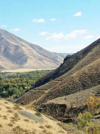 $12,000,000 | 350 Broadford Road, Blaine County, ID 83313