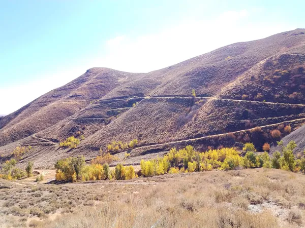 $12,000,000 | 350 Broadford Road, Blaine County, ID 83313