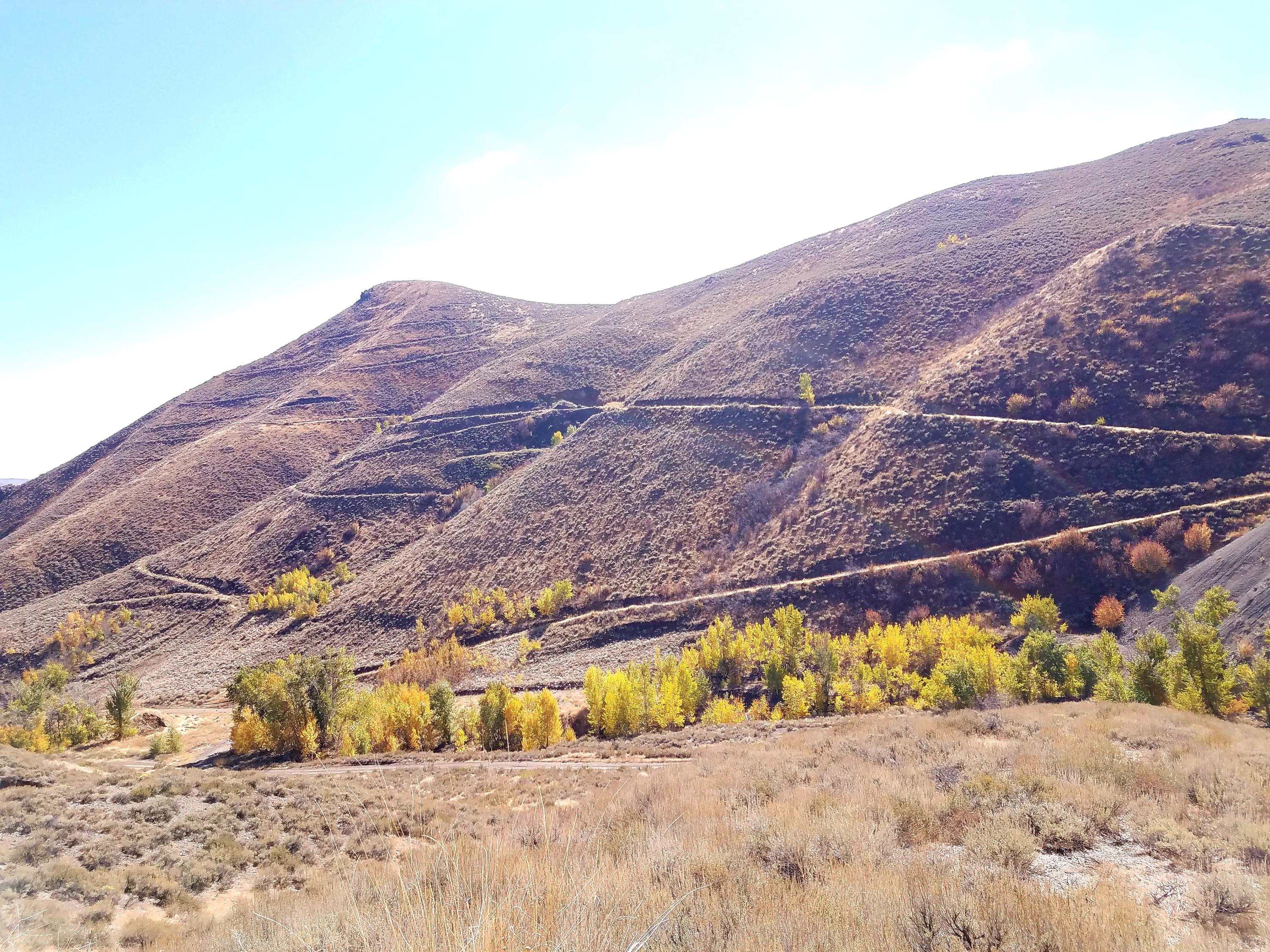 350 Broadford Road Blaine County, ID 83313 - Photo 32 of 40 20181008_145545