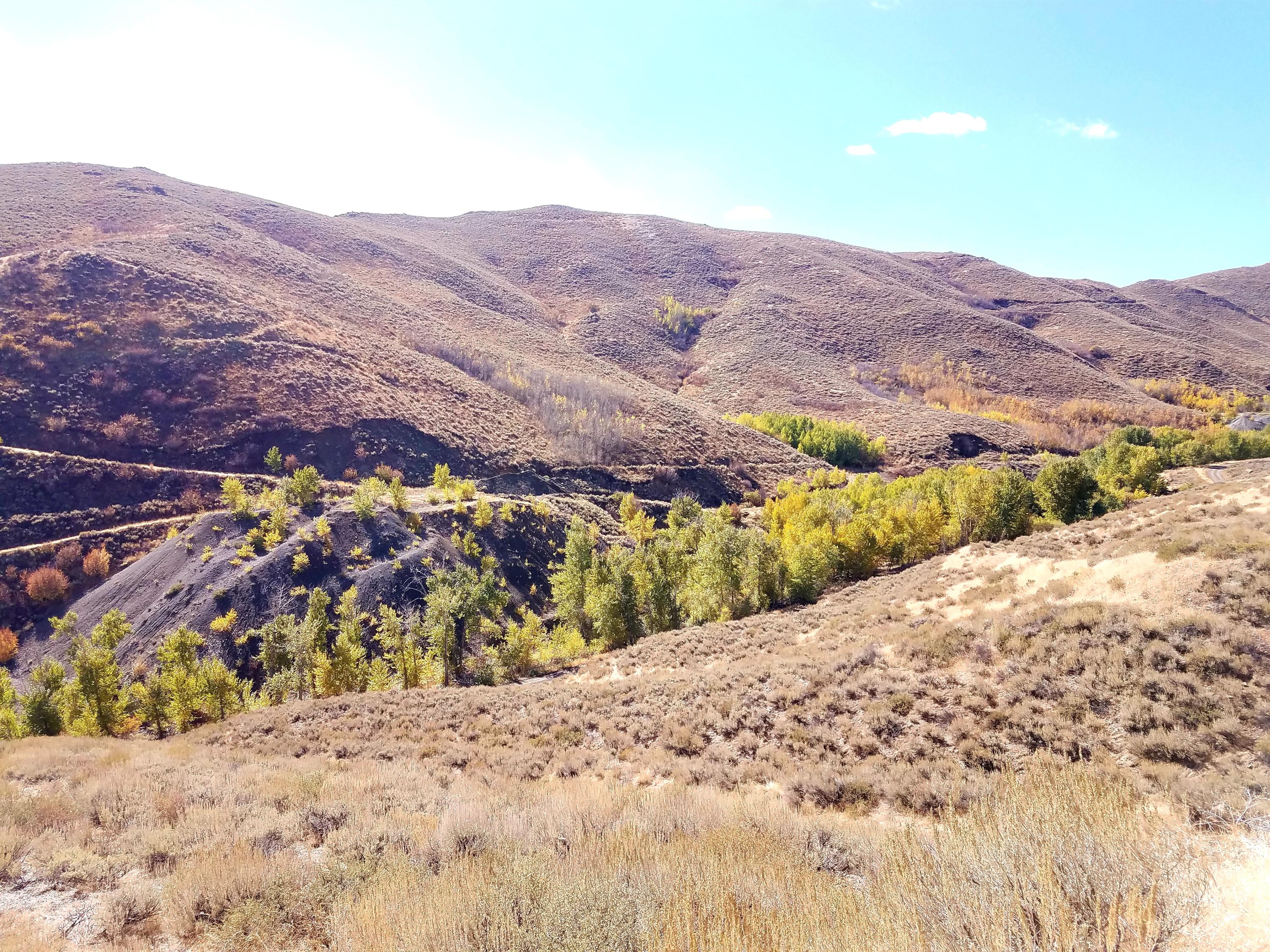 350 Broadford Road Blaine County, ID 83313 - Photo 33 of 40 20181008_145526