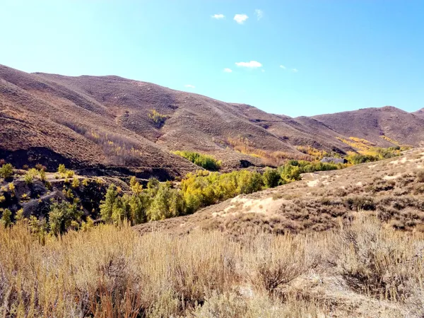 $12,000,000 | 350 Broadford Road, Blaine County, ID 83313