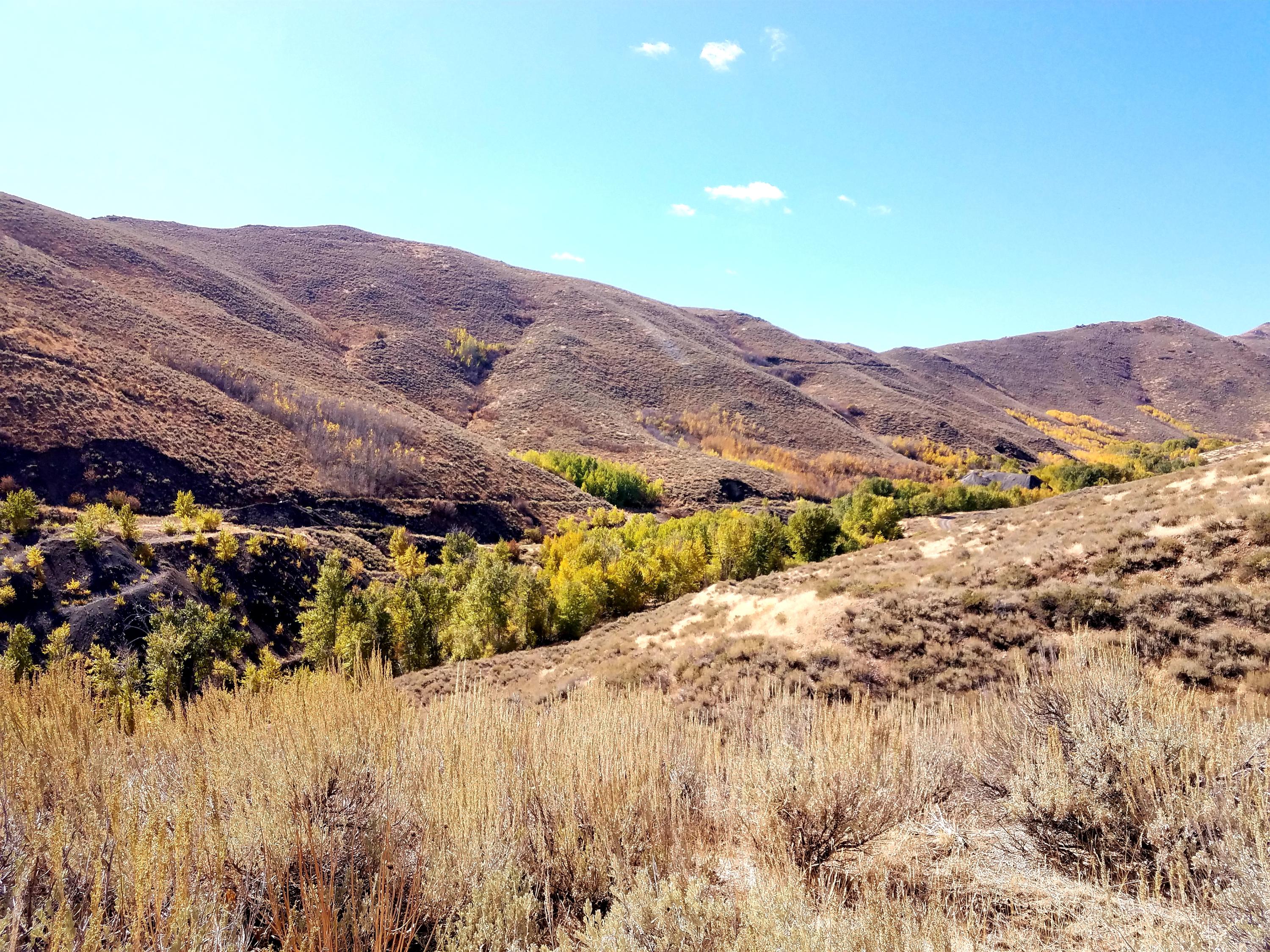 350 Broadford Road Blaine County, ID 83313 - Photo 34 of 40 20181008_145601