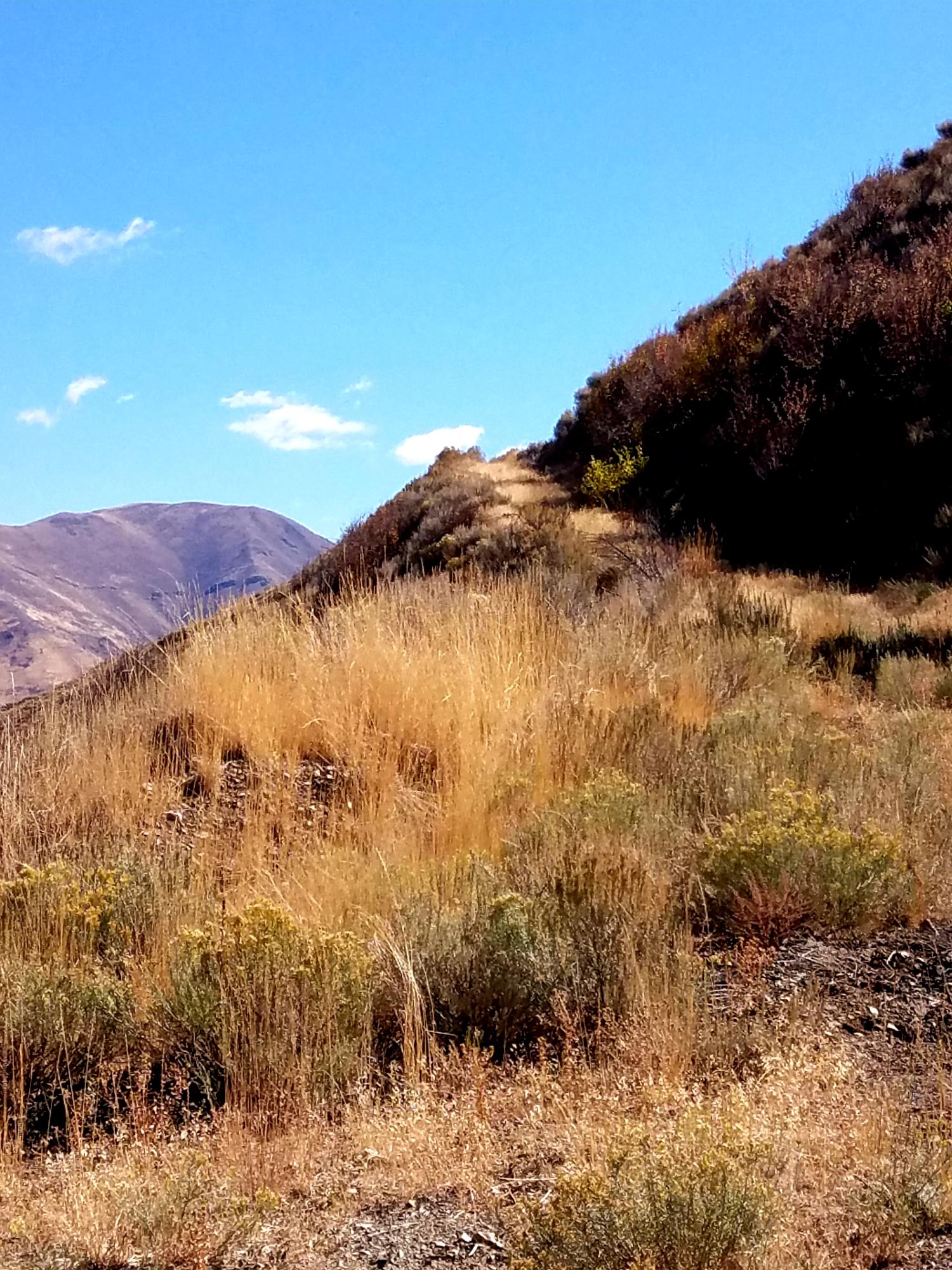 350 Broadford Road Blaine County, ID 83313 - Photo 36 of 40 20181008_145715