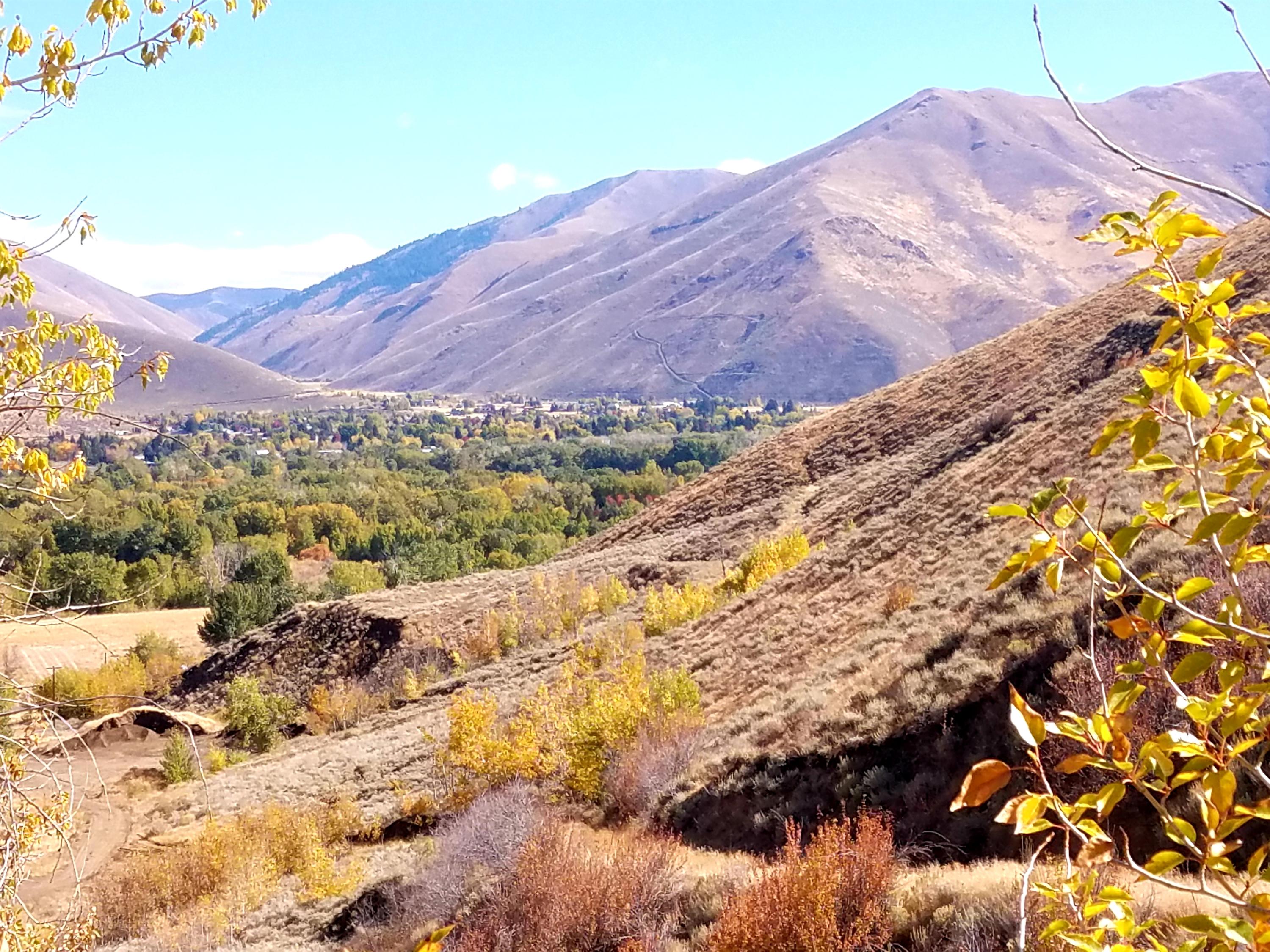 350 Broadford Road Blaine County, ID 83313 - Photo 38 of 40 20181008_145751