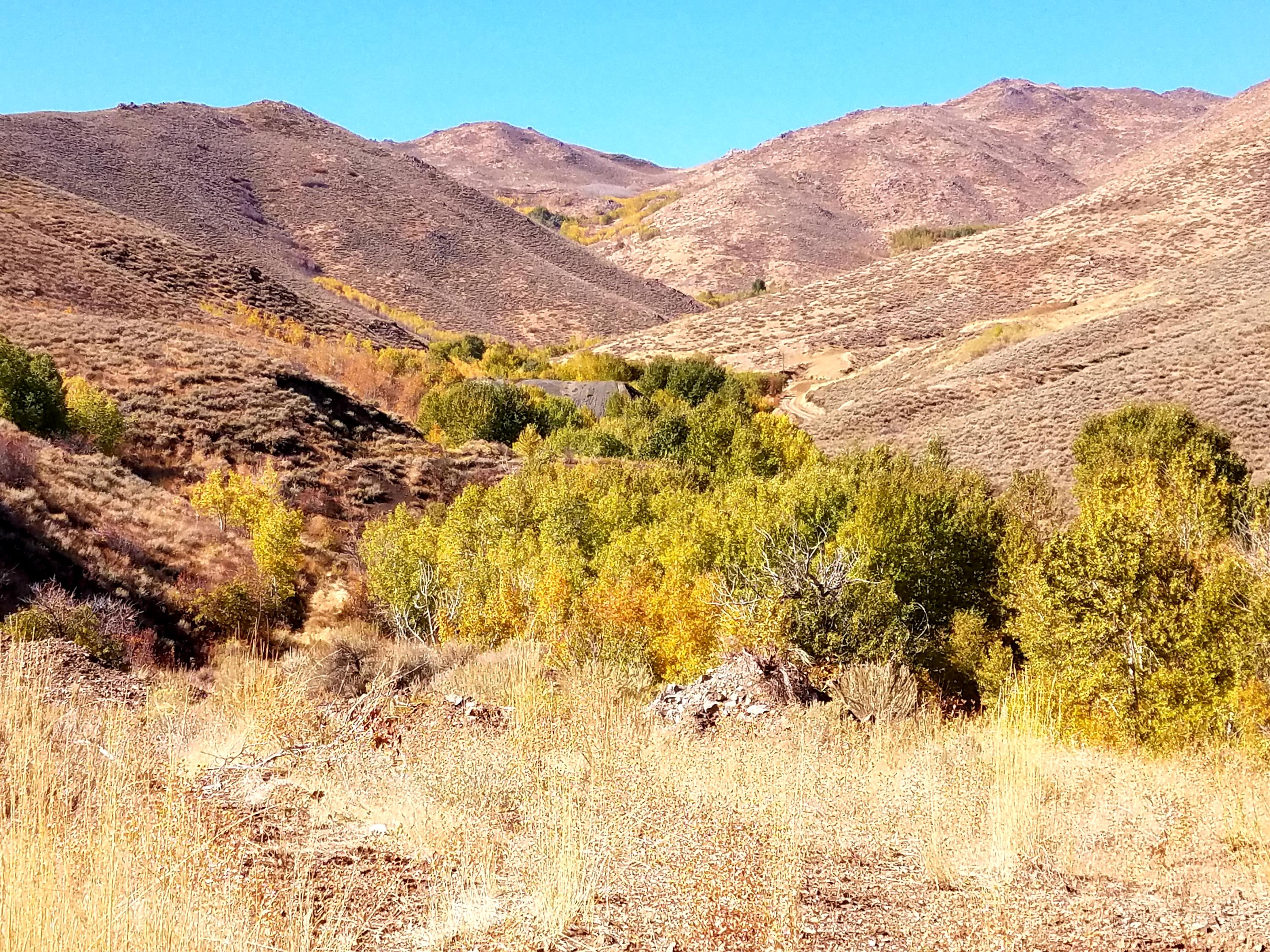 350 Broadford Road Blaine County, ID 83313 - Photo 39 of 40 20181008_145824