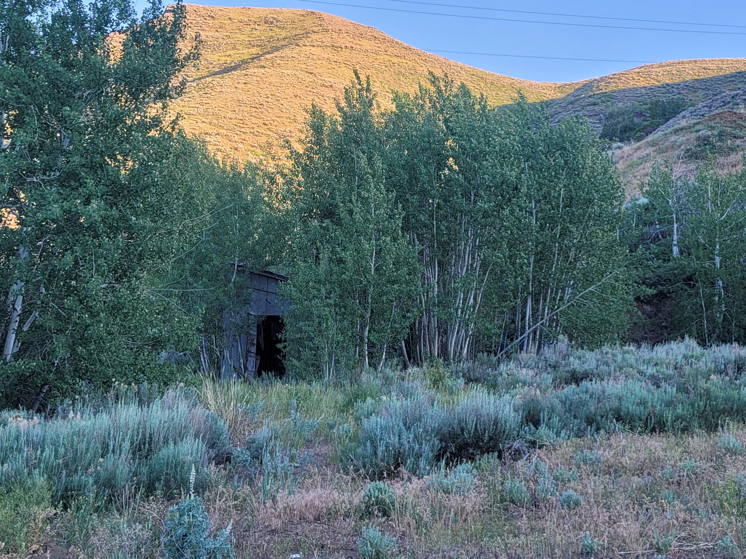 350 Broadford Road Blaine County, ID 83313 - Photo 5 of 40 20210621_202157