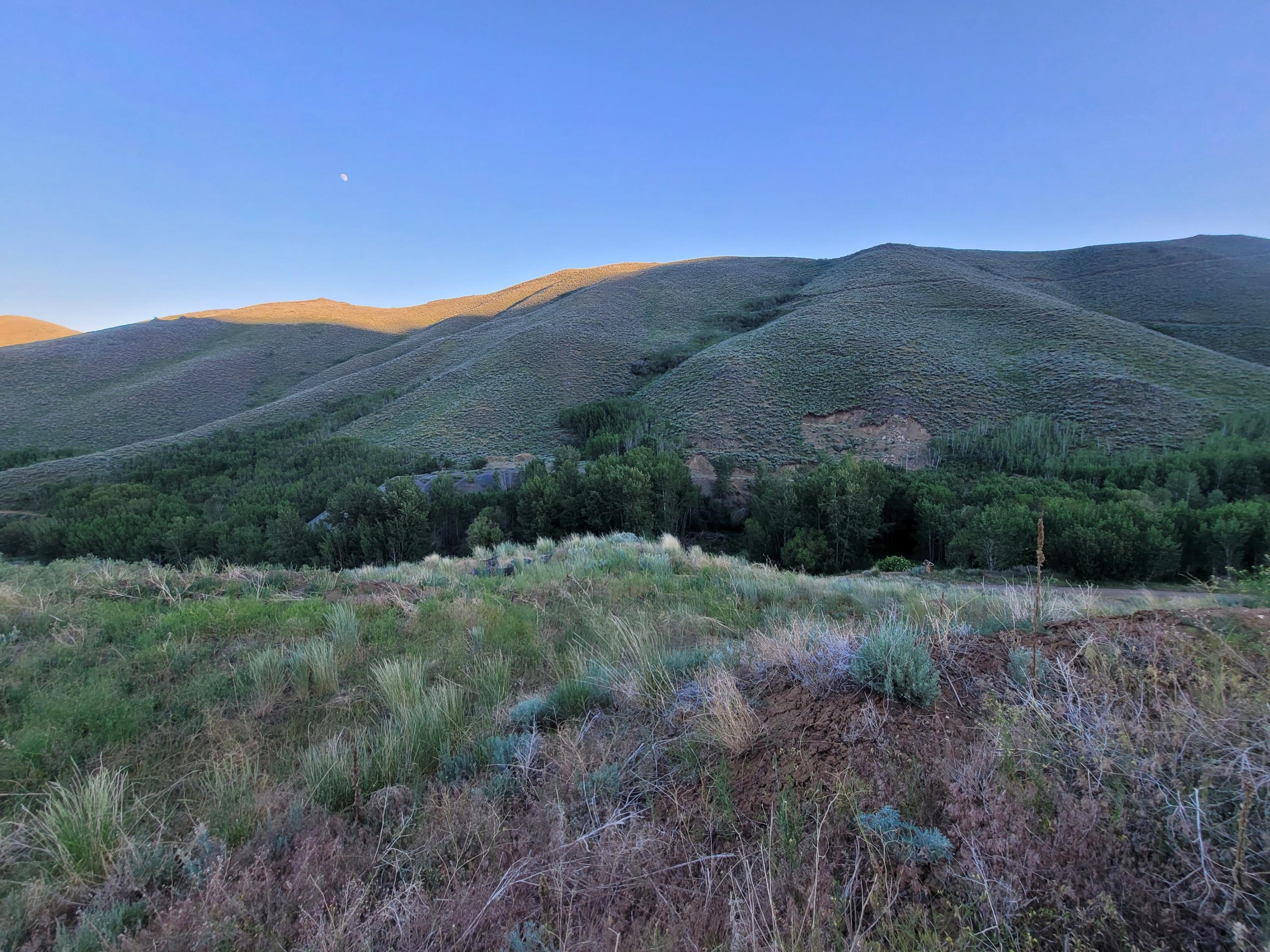 350 Broadford Road Blaine County, ID 83313 - Photo 6 of 40 20210621_202951