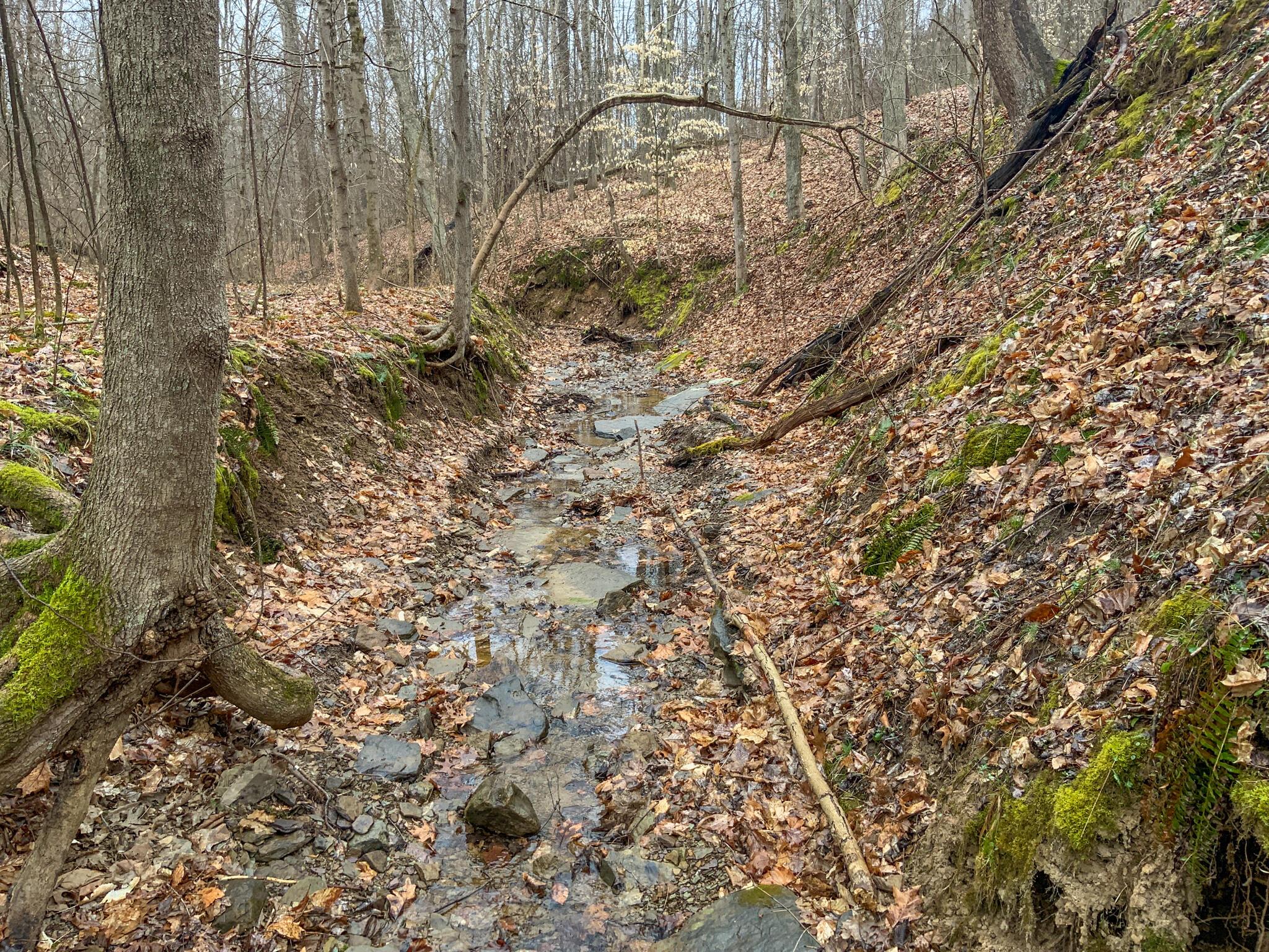 0 Twp Road Caldwell, OH 43724 - Photo 22 of 25 IMG_5495
