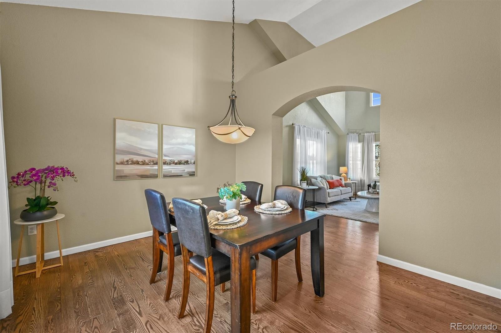 9931 South Spring Hill Place Highlands Ranch, CO 80129 - Photo 11 of 47 Gallery Image 11