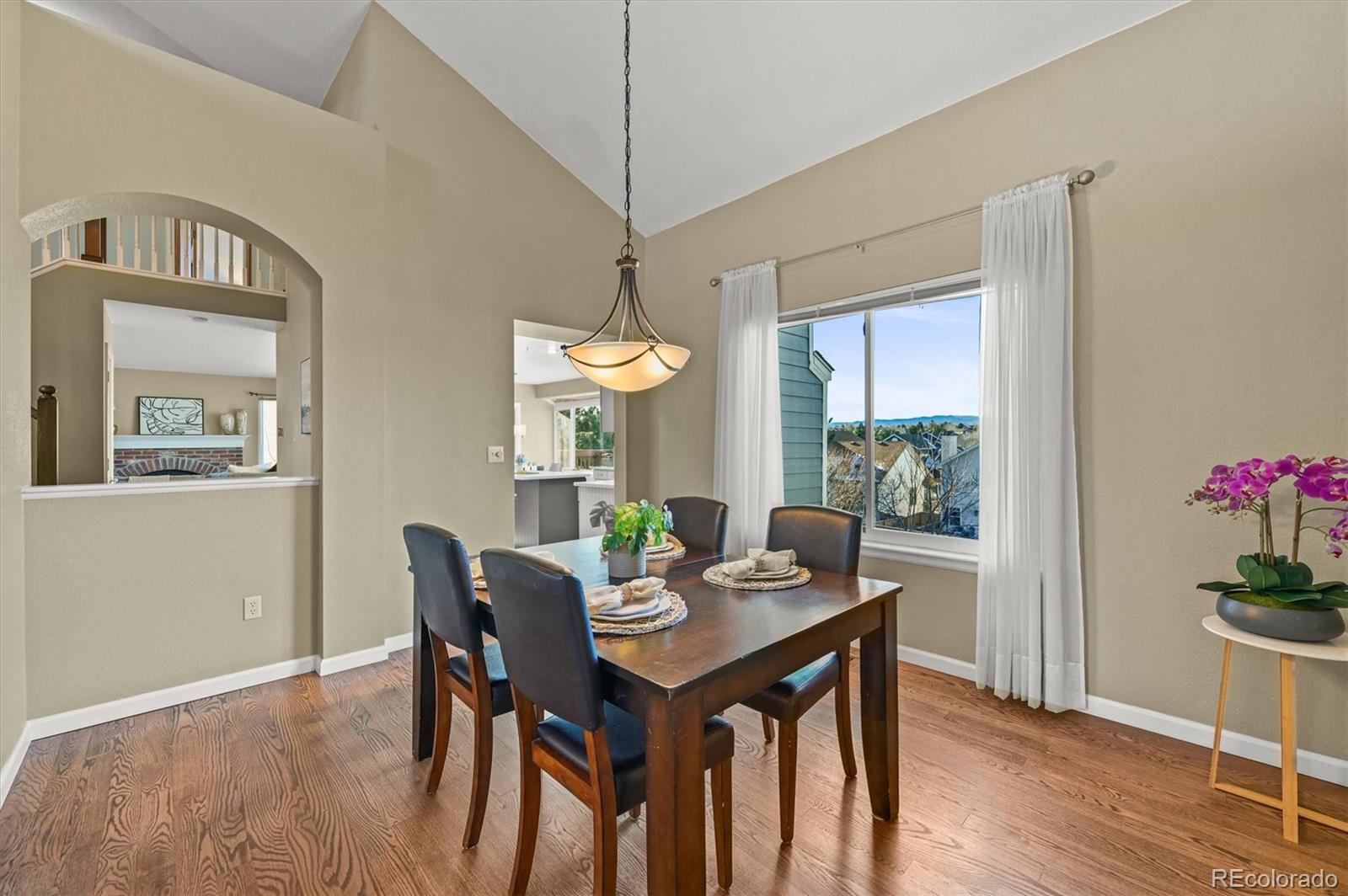 9931 South Spring Hill Place Highlands Ranch, CO 80129 - Photo 9 of 47 Gallery Image 9