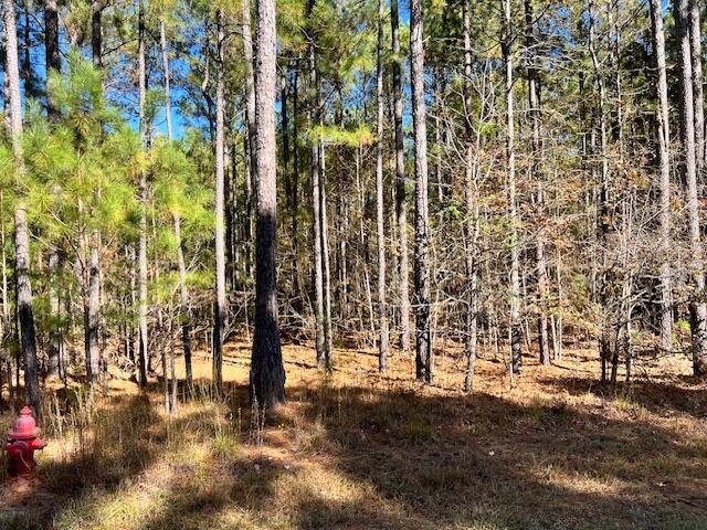 0 Mariners Way Lincolnton, GA 30817 - Photo 3 of 4 IMG_4284
