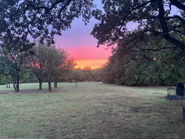 a view of some trees in the middle of a yard