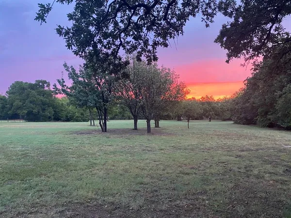 a view of dirt field with trees