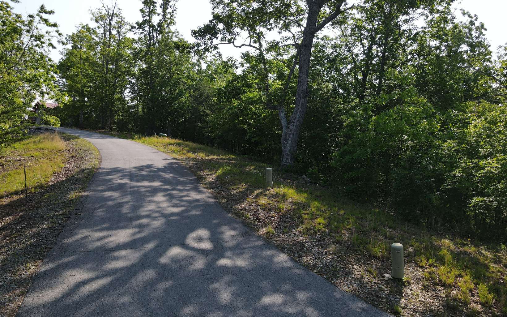 20 Patriot Ridge Murphy, NC 28906 - Photo 10 of 38 a view of a yard with plants and large trees