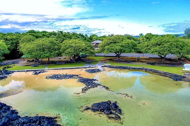 a view of a swimming pool and an outdoor space
