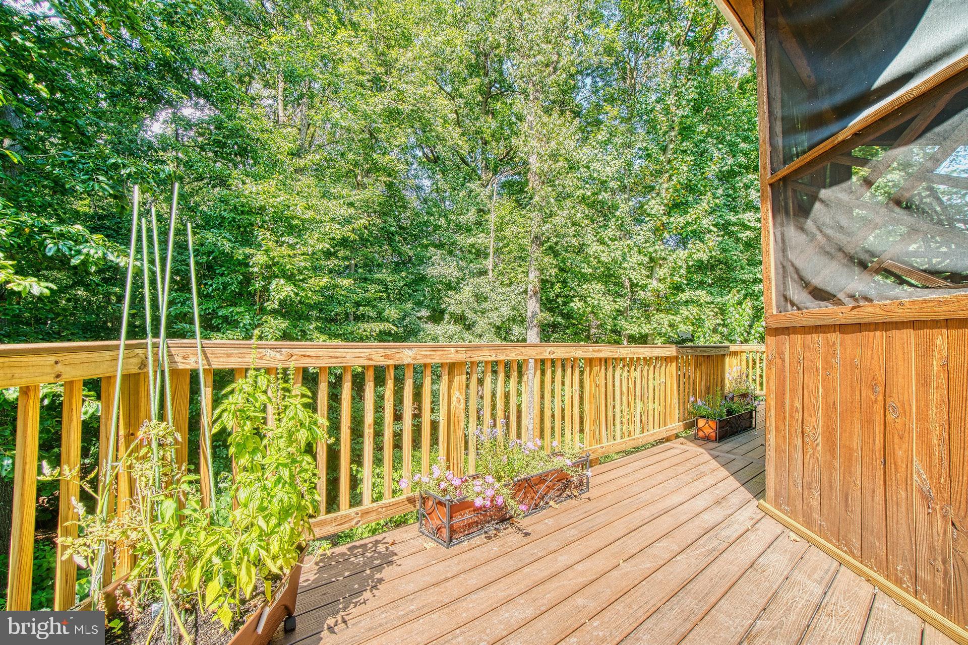 9312 Brian Run Lane Springfield, VA 22153 - Photo 33 of 42 Decks along rear of house