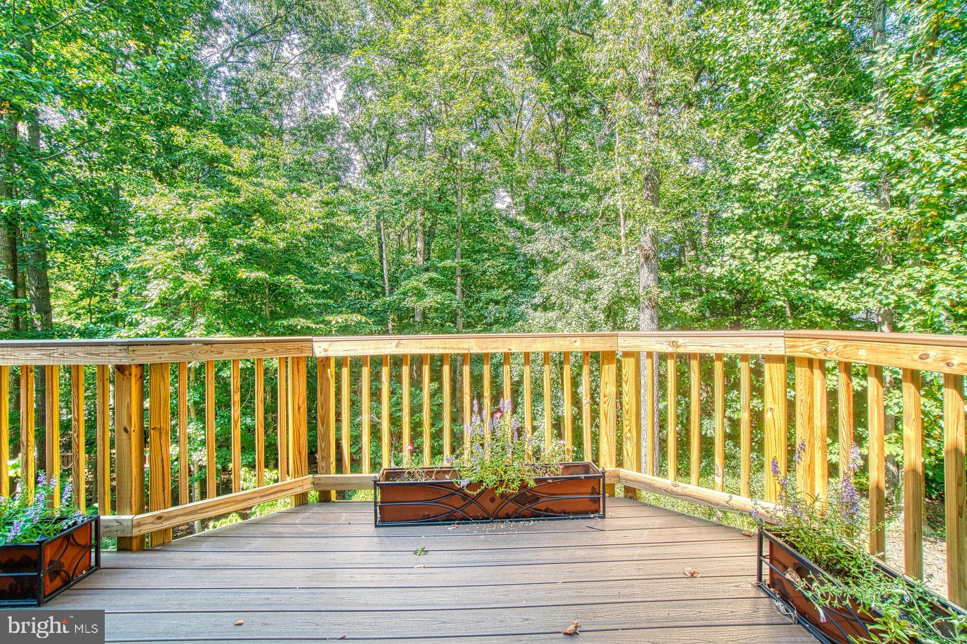 9312 Brian Run Lane Springfield, VA 22153 - Photo 34 of 42 Decks along rear of house