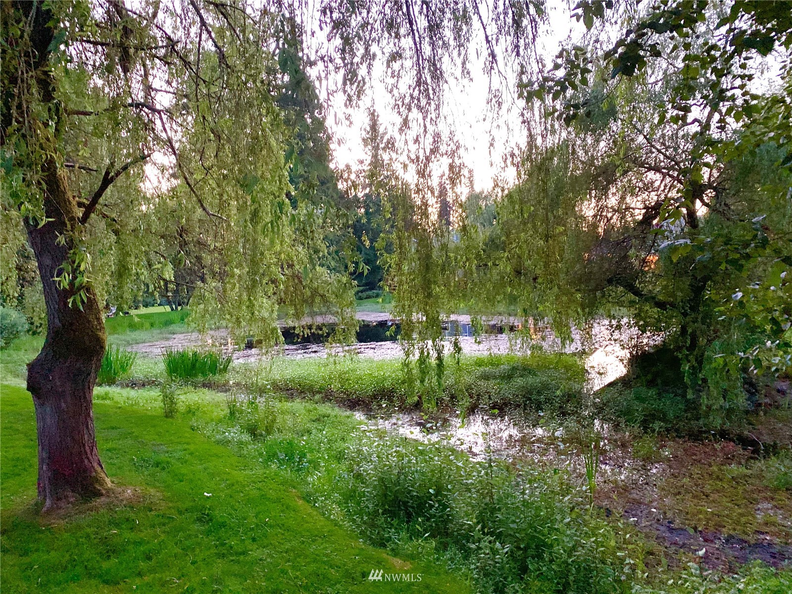 18221 26th Drive Southeast Bothell, WA 98012 - Photo 24 of 25 a view of a garden with a tree