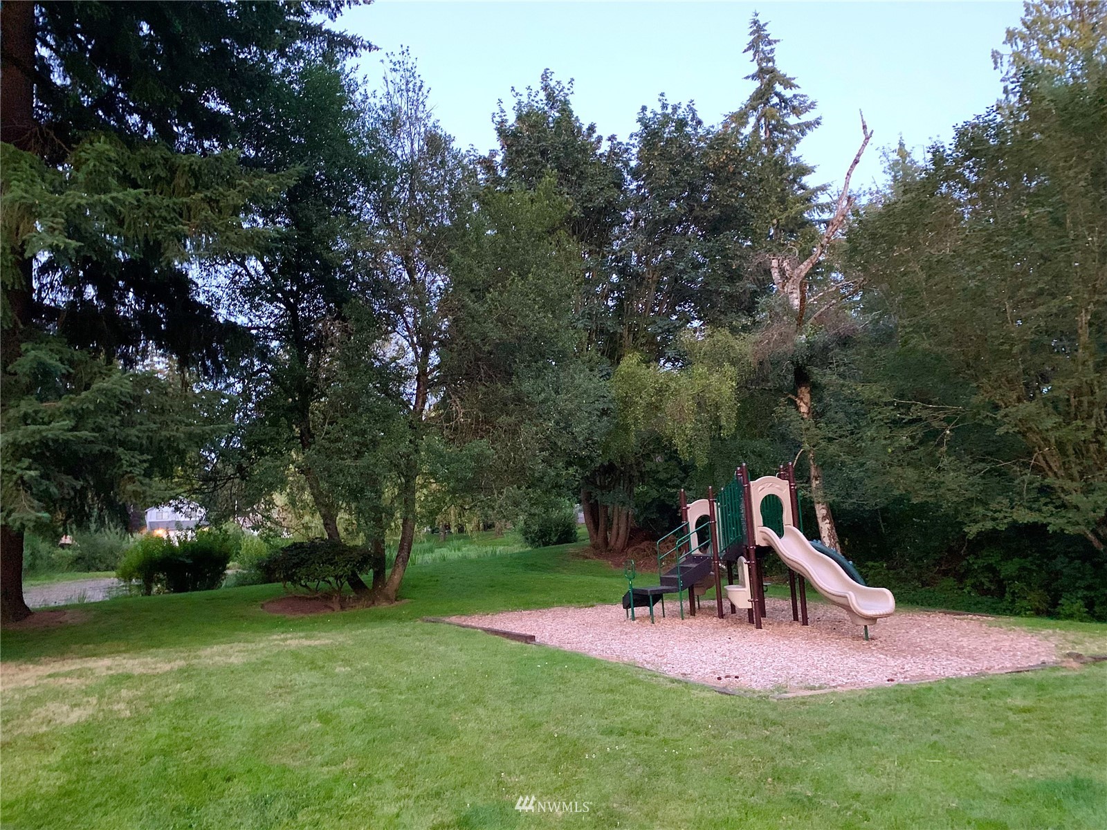 18221 26th Drive Southeast Bothell, WA 98012 - Photo 25 of 25 a view of a park with large trees