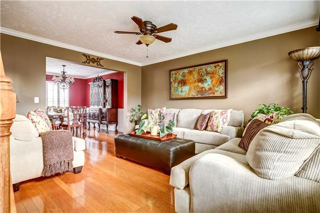 4011 Timber Ridge Court Mount Juliet, TN 37122 - Photo 2 of 20 a living room with furniture and a ceiling fan