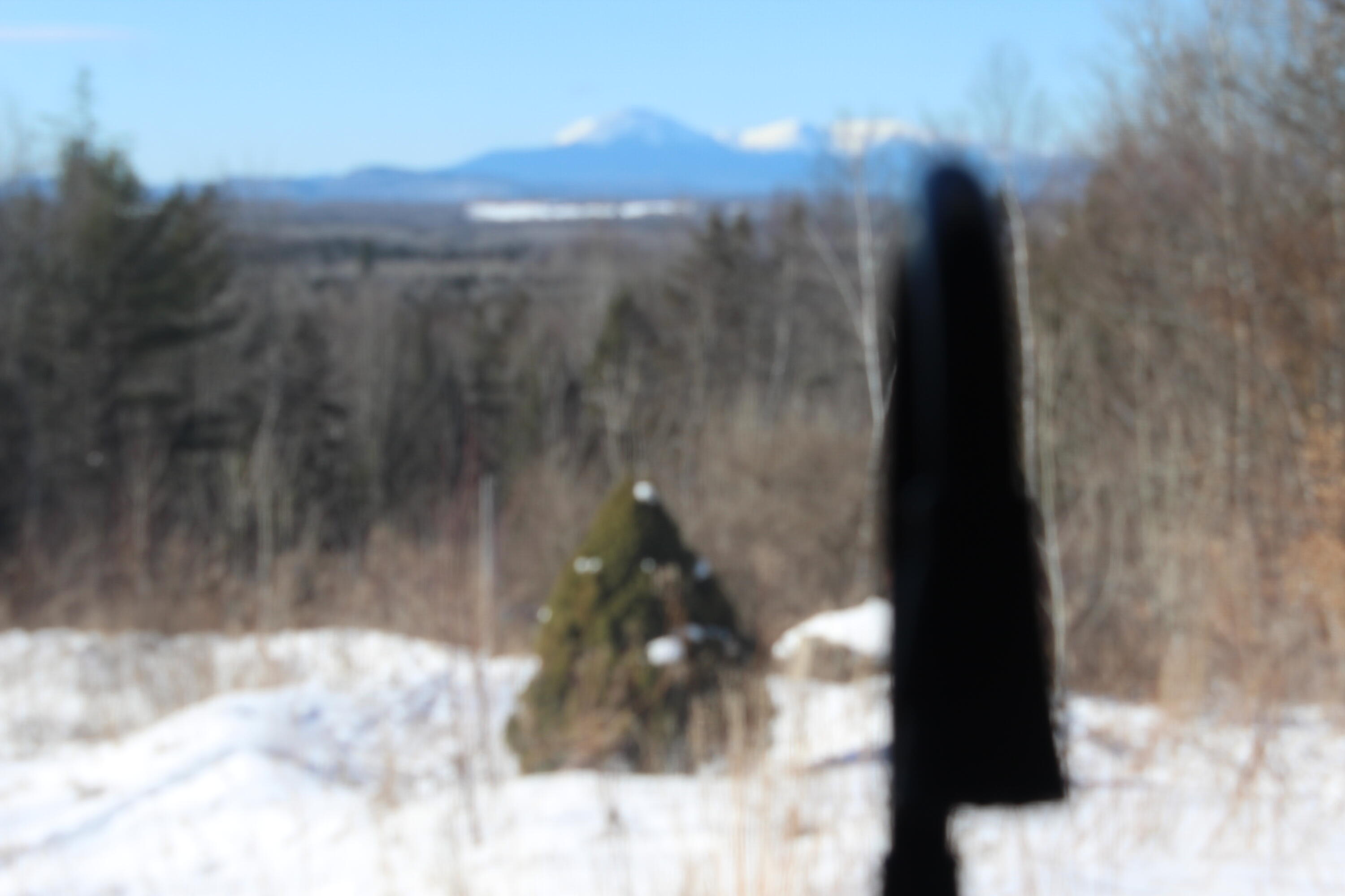 276 North Street Sherman, ME 04776 - Photo 53 of 56 IMG_7265