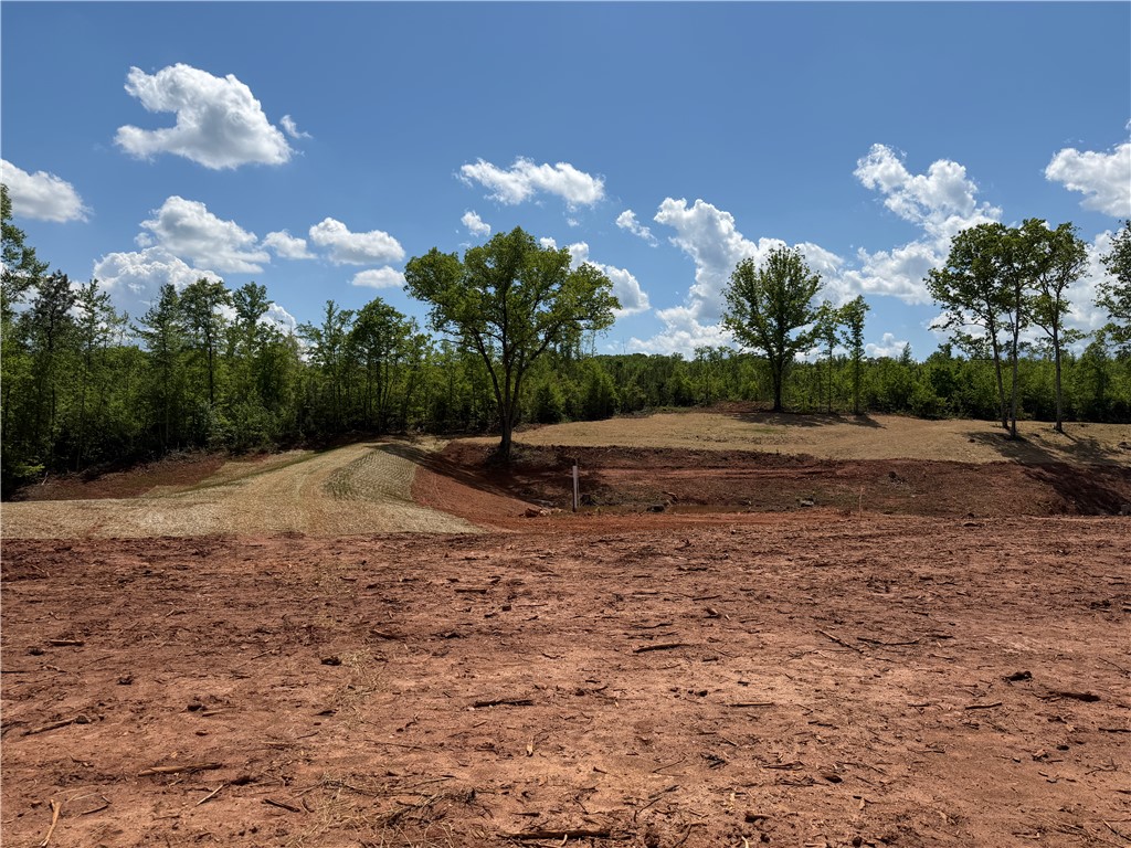 Lot 11 Pickens Drive Pendleton, SC 29670 - Photo 7 of 9 A spacious, buildable lot awaits your vision, surrounded by mature trees under a vast sky.