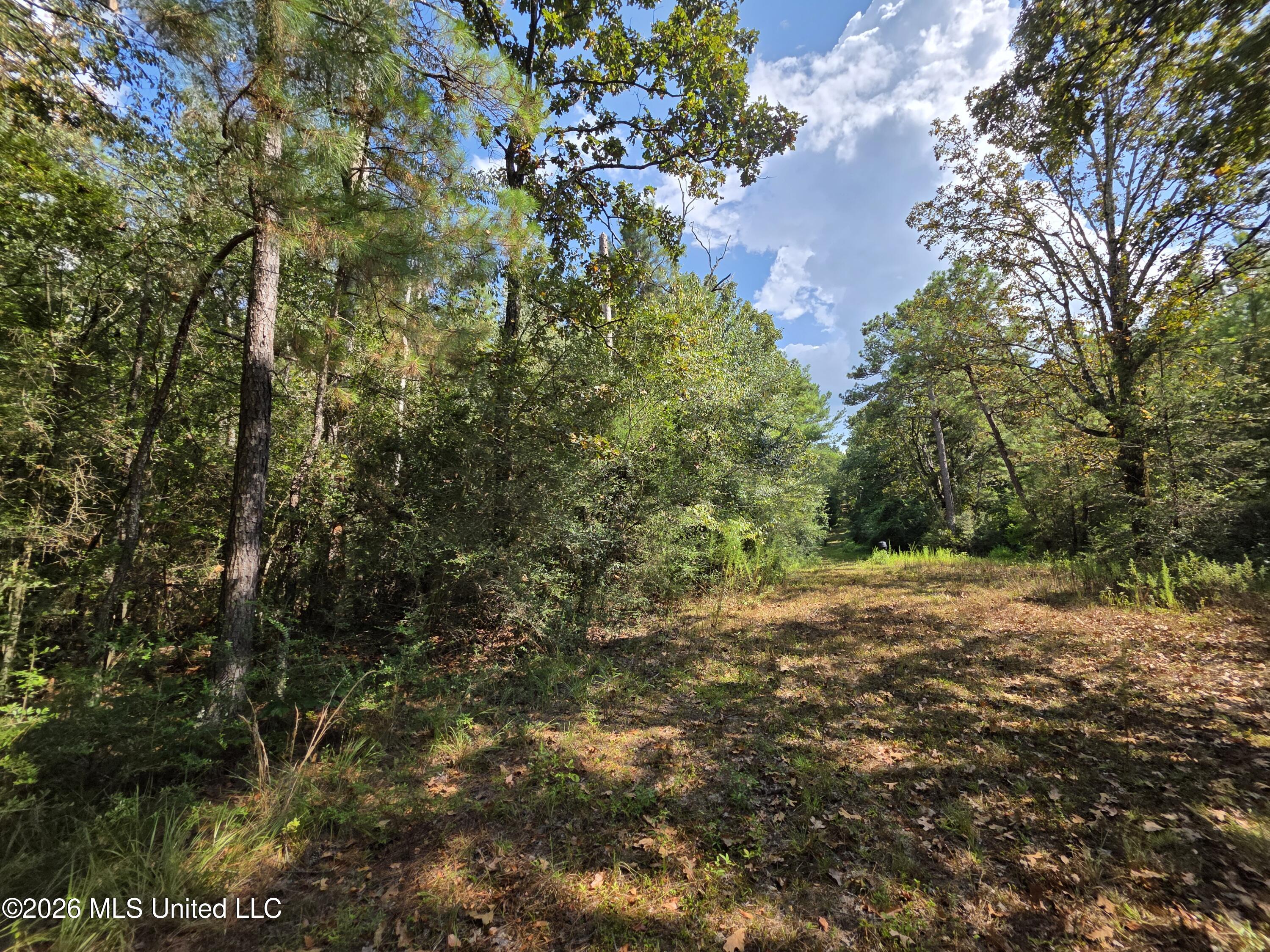 325 Double Ponds Road Prentiss, MS 39474 - Photo 29 of 43 39374