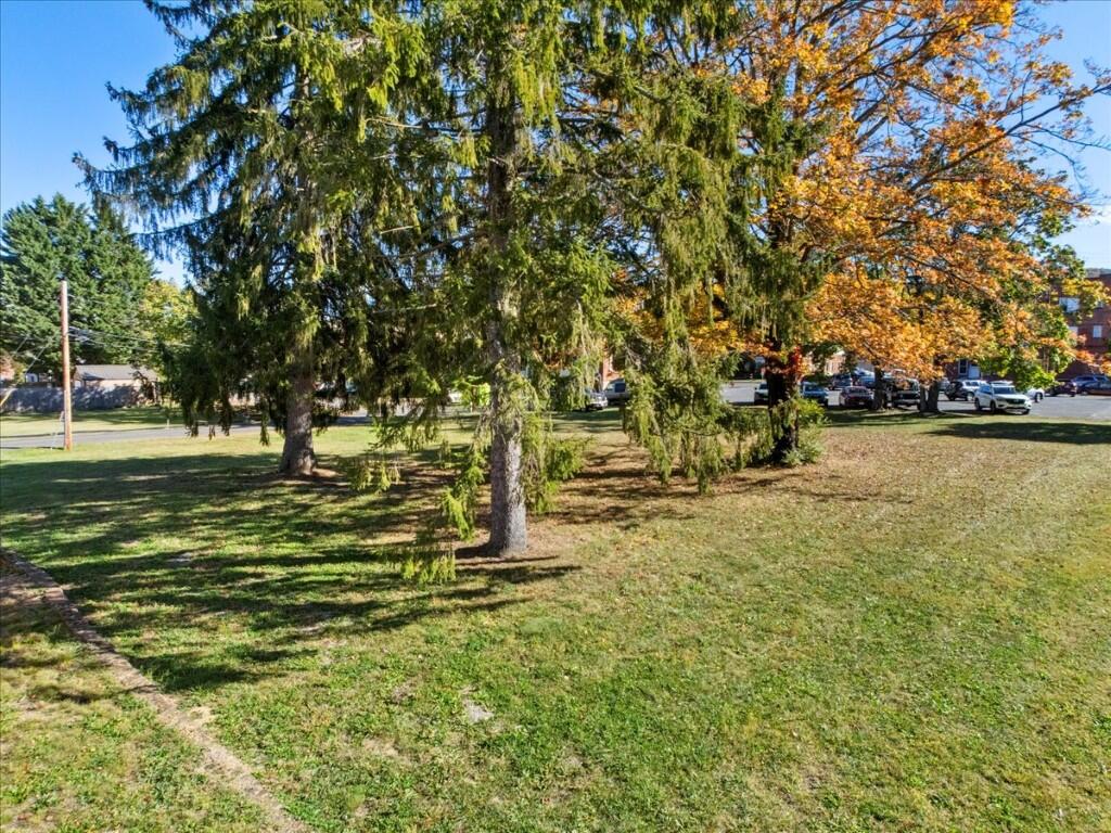 Tbd Jefferson Avenue North Pulaski, VA 24301 - Photo 18 of 29 a view of a yard with a tree