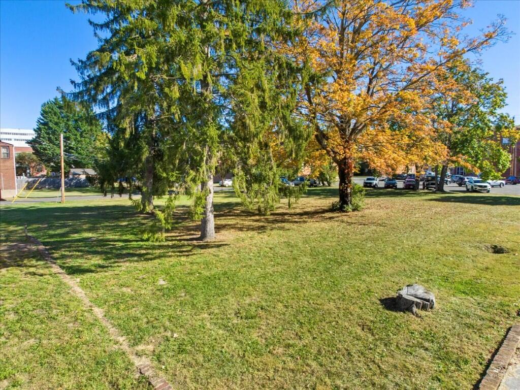 Tbd Jefferson Avenue North Pulaski, VA 24301 - Photo 19 of 29 a view of a field with an trees
