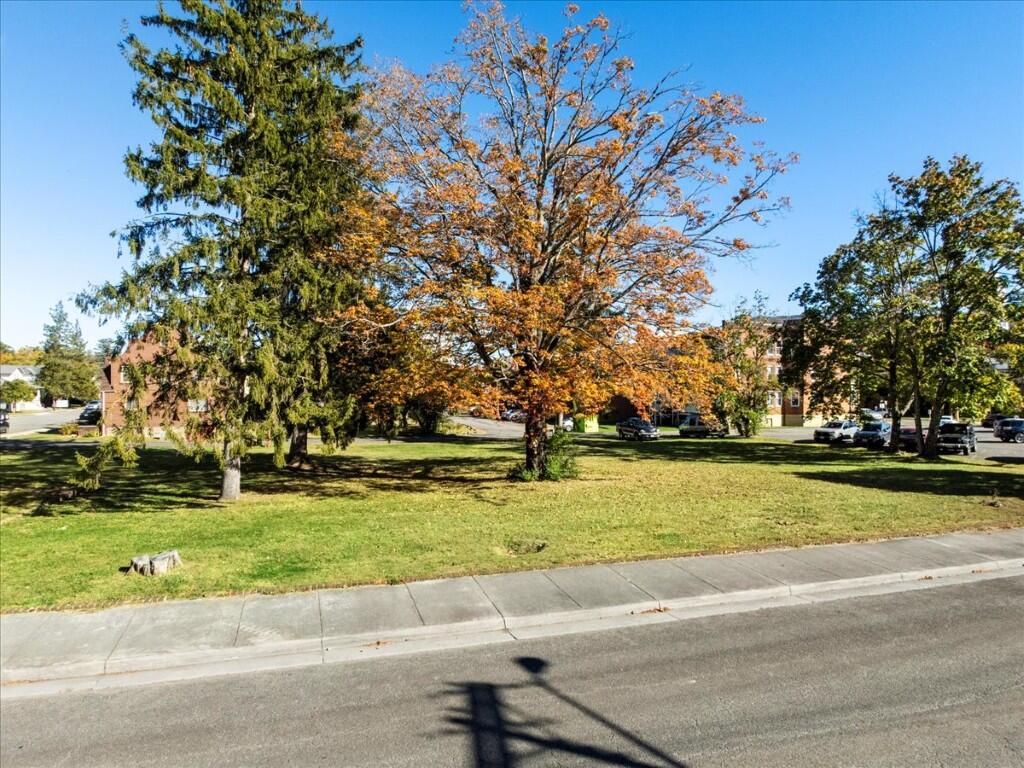 Tbd Jefferson Avenue North Pulaski, VA 24301 - Photo 6 of 29 a big yard with trees in the background