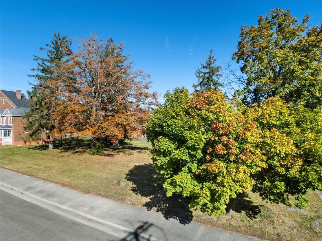 Tbd Jefferson Avenue North Pulaski, VA 24301 - Photo 8 of 29 a view of a pathway both side of grassy field with trees