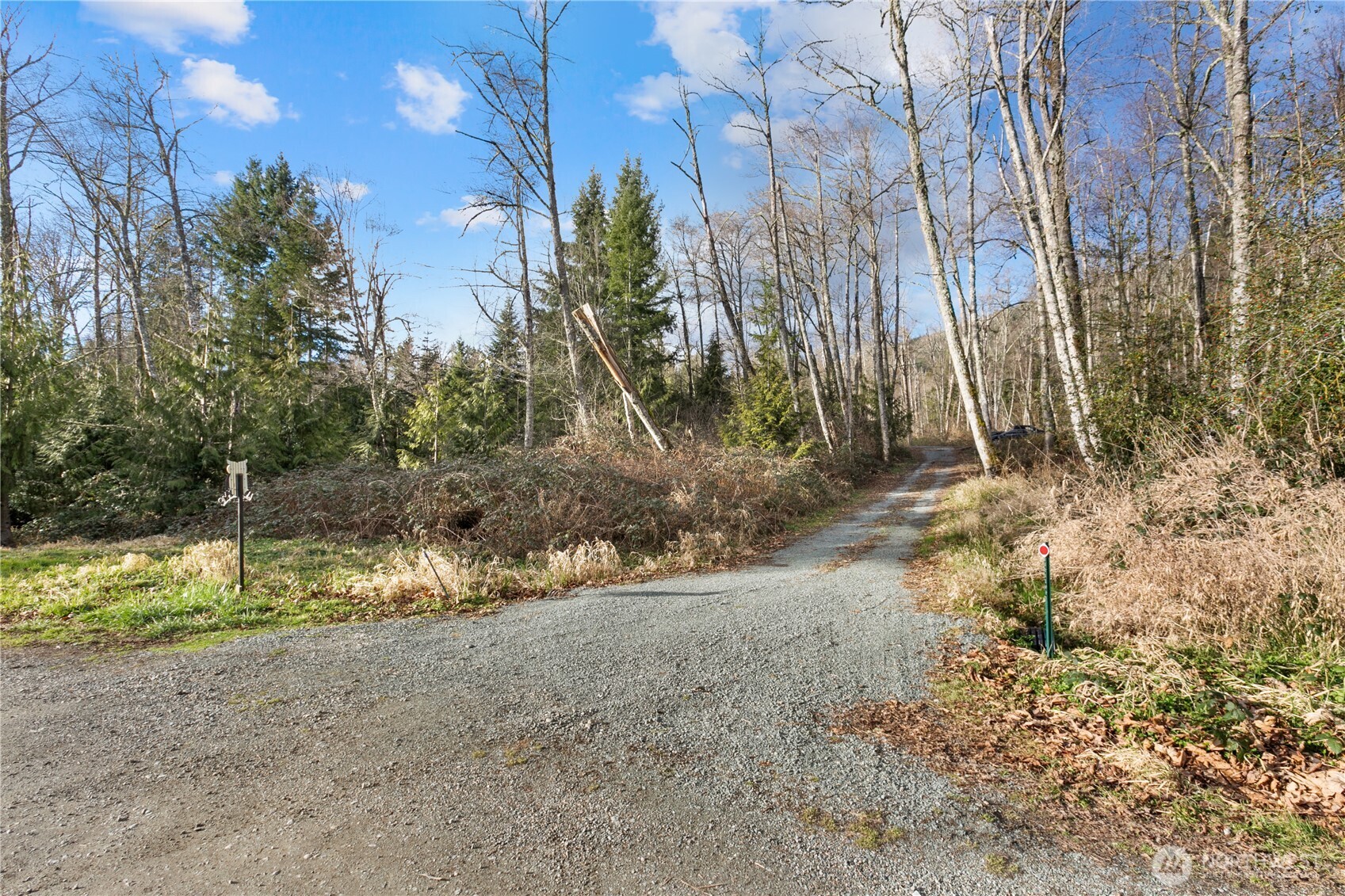 26497 Helmick Road Sedro-Woolley, WA 98284 - Photo 26 of 30 a view of a yard with a tree