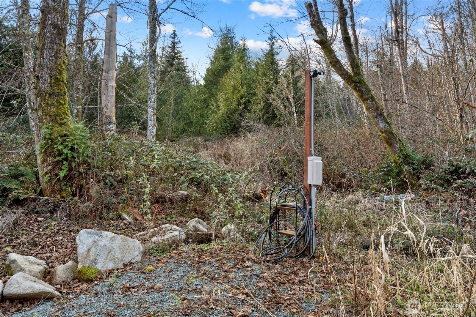 26497 Helmick Road Sedro-Woolley, WA 98284 - Photo 27 of 30 a view of a forest filled with trees