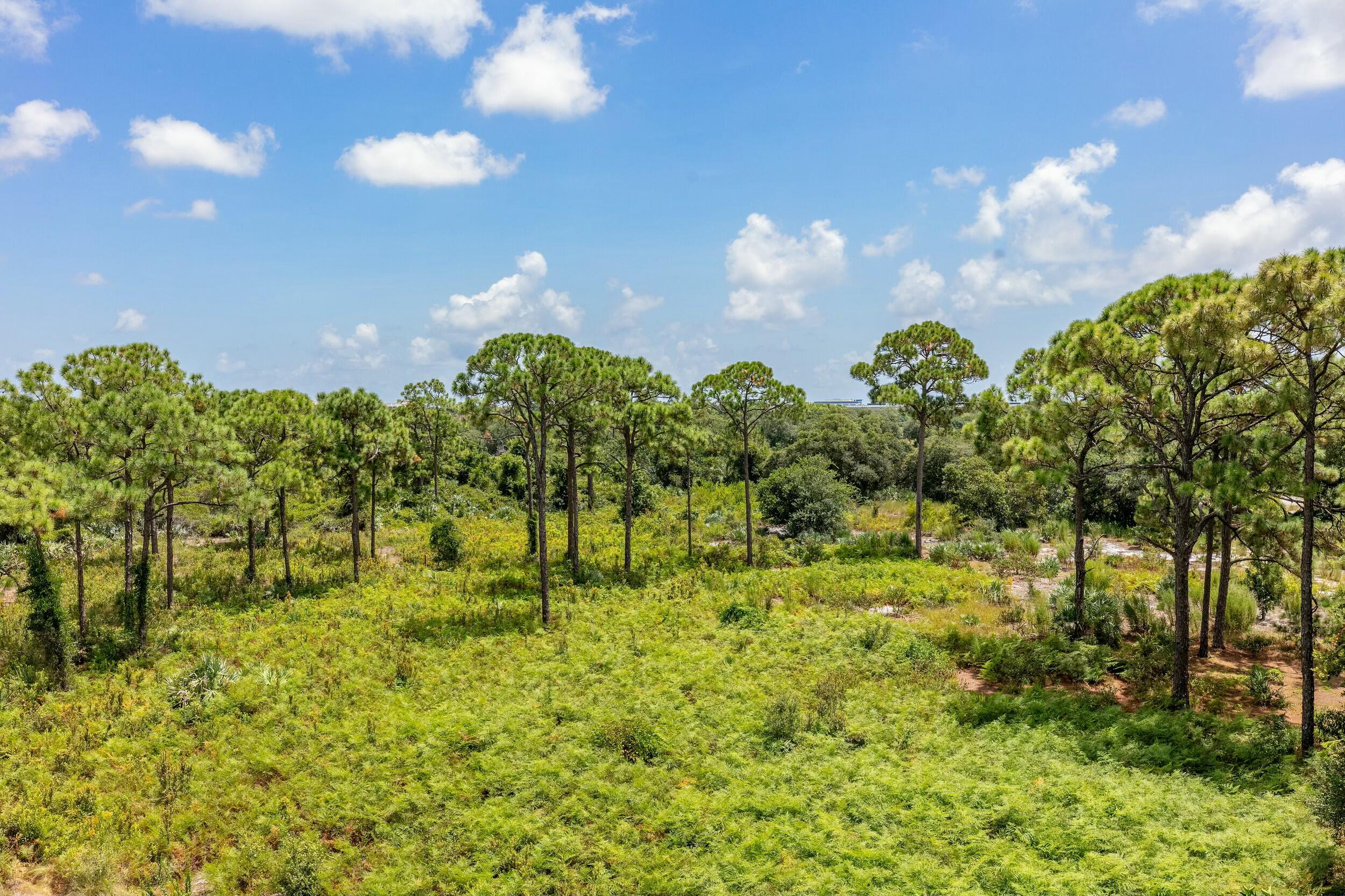 4070 Northwest 17th Avenue Boca Raton, FL 33431 - Photo 17 of 50 Balcony view