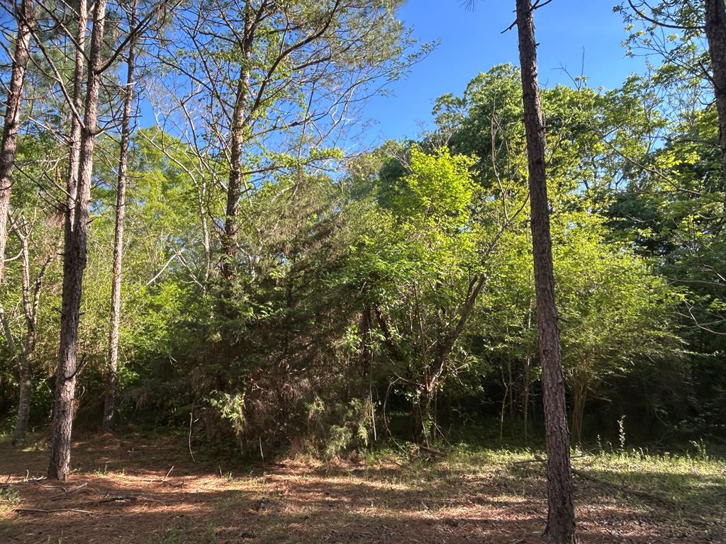 Lot 6-3 -ac Cty Road Newville, AL 36353 - Photo 21 of 24
