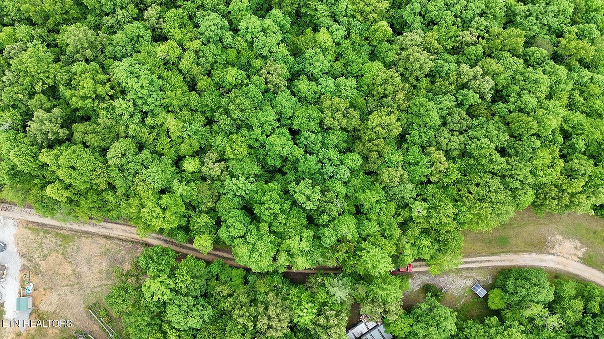 0 Sheep Ranch Road Robbins, TN 37852 - Photo 5 of 29 10srd